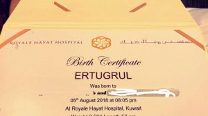 أرطغرول تركيا