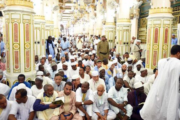 المدينة المنورة الحج