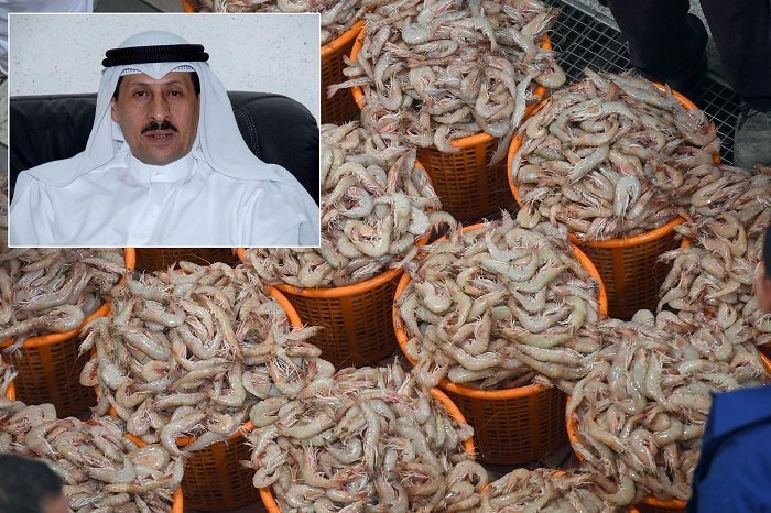 الصويان: حظر صيد الربيان غدًا في المياه الاقتصادية