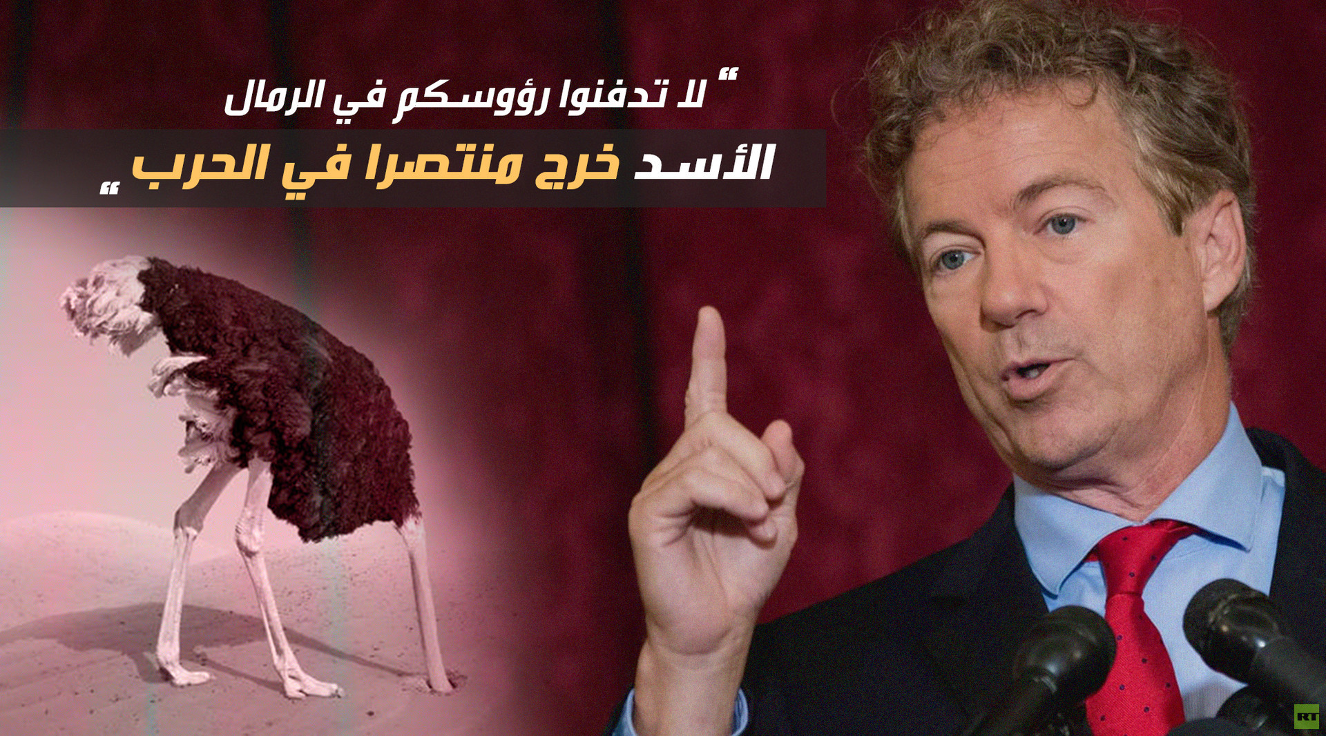 سيناتور أمريكي: لا تدفنوا رؤوسكم في الرمال.. الأسد انتصر!