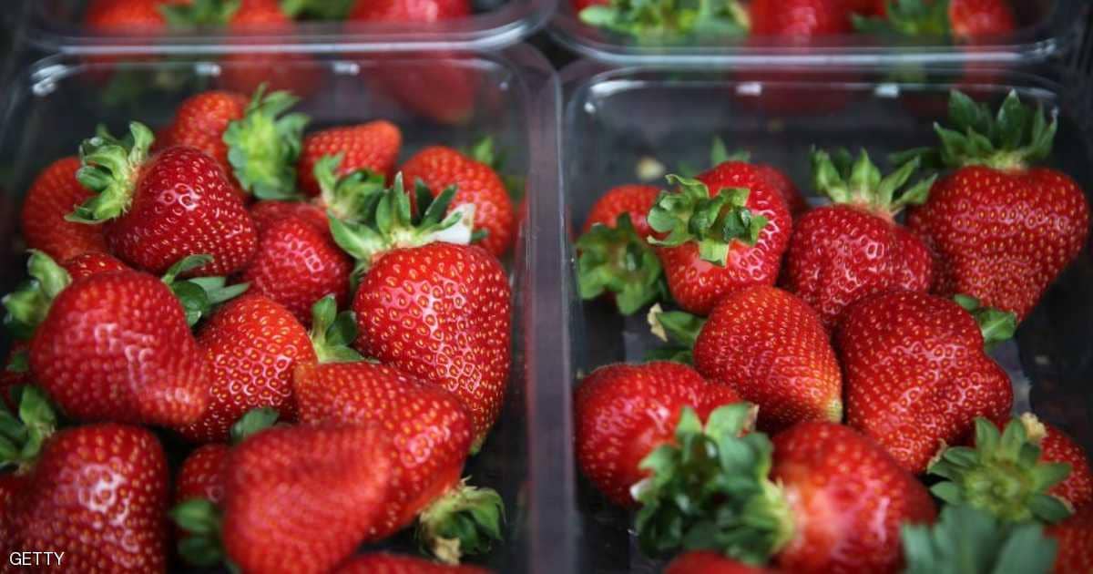 10 أطعمة لا غنى عنها لمن تجاوزوا الخمسين